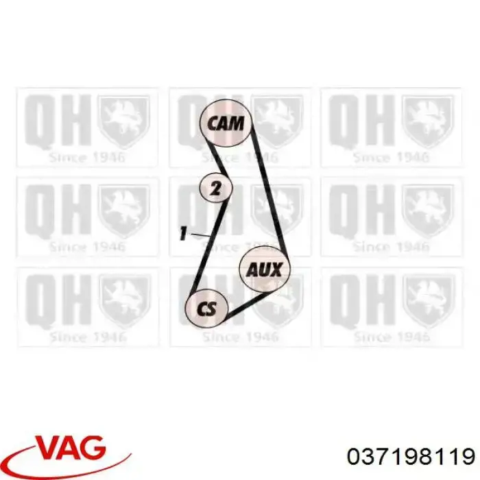 Comprar 037198119 VAG Kit de correa de distribución