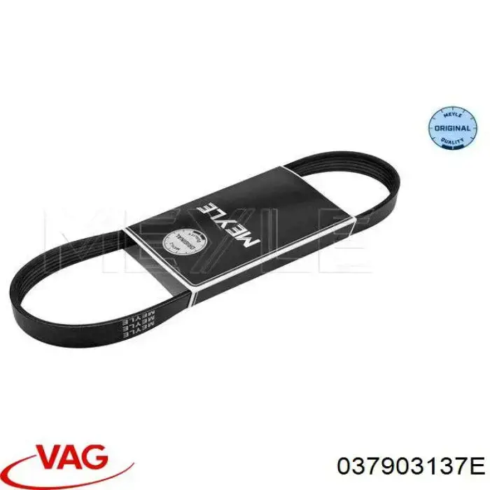 Correa de transmisión trapezoidal VAG 037903137E precio, desde 11,15 EUR