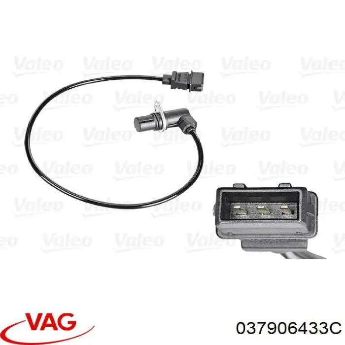 Volkswagen Passat 3A5, 351, 315