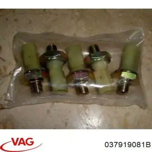 Manómetro de presión de aceite VAG 037919081B precio, desde 6,89 EUR