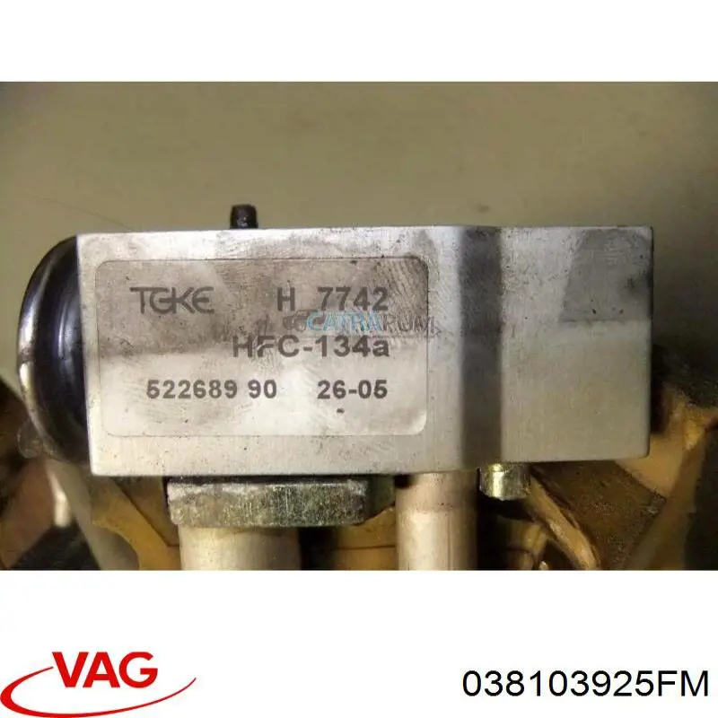 Tapa motor 038103925FM VAG