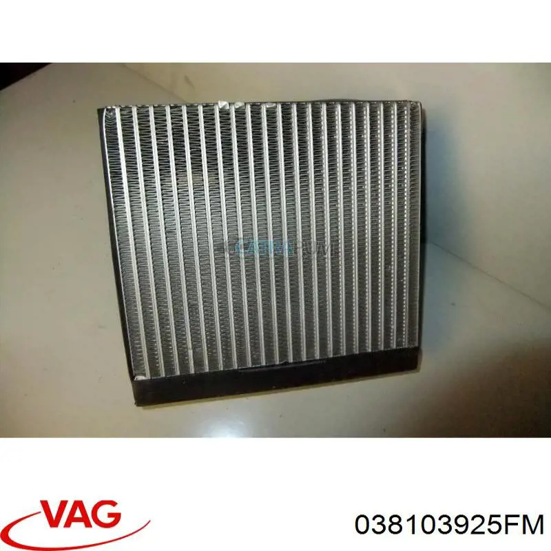 Cubierta motor VAG 038103925FM