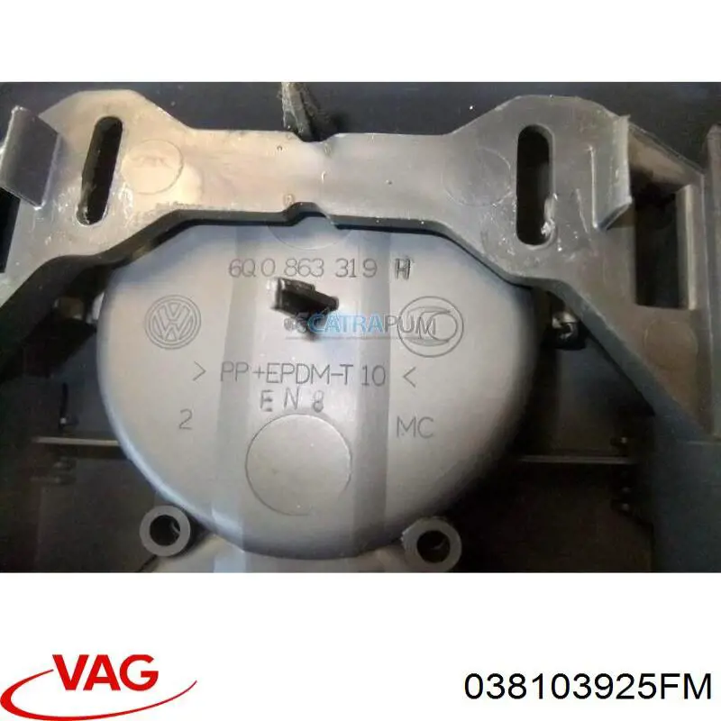 Cubierta decorativa del motor VAG 038103925FM precio, desde 129,23 EUR
