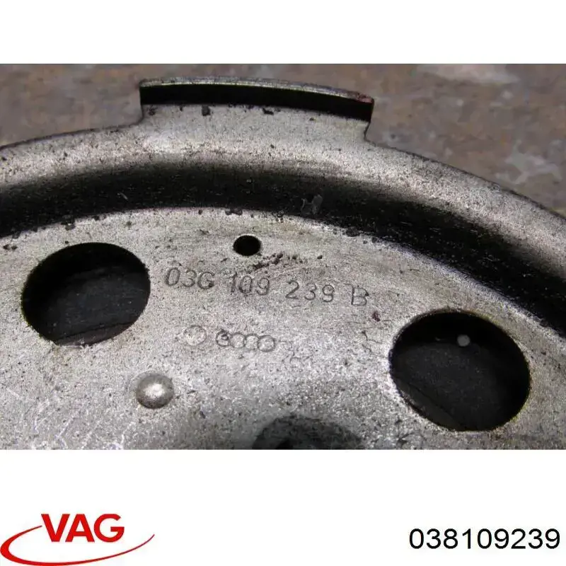 Brida del engranaje del árbol de levas VAG 038109239 precio, desde 260,72 EUR