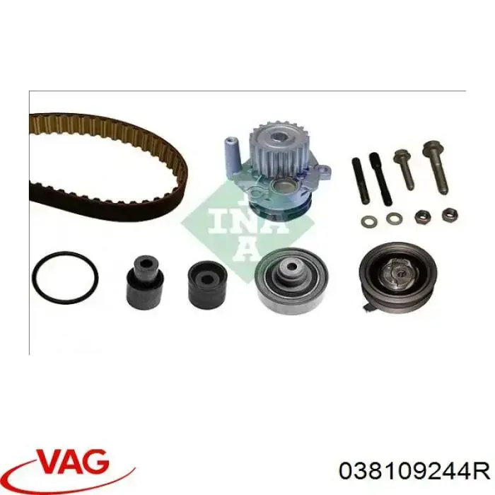 Polea correa distribución 038109244R VAG