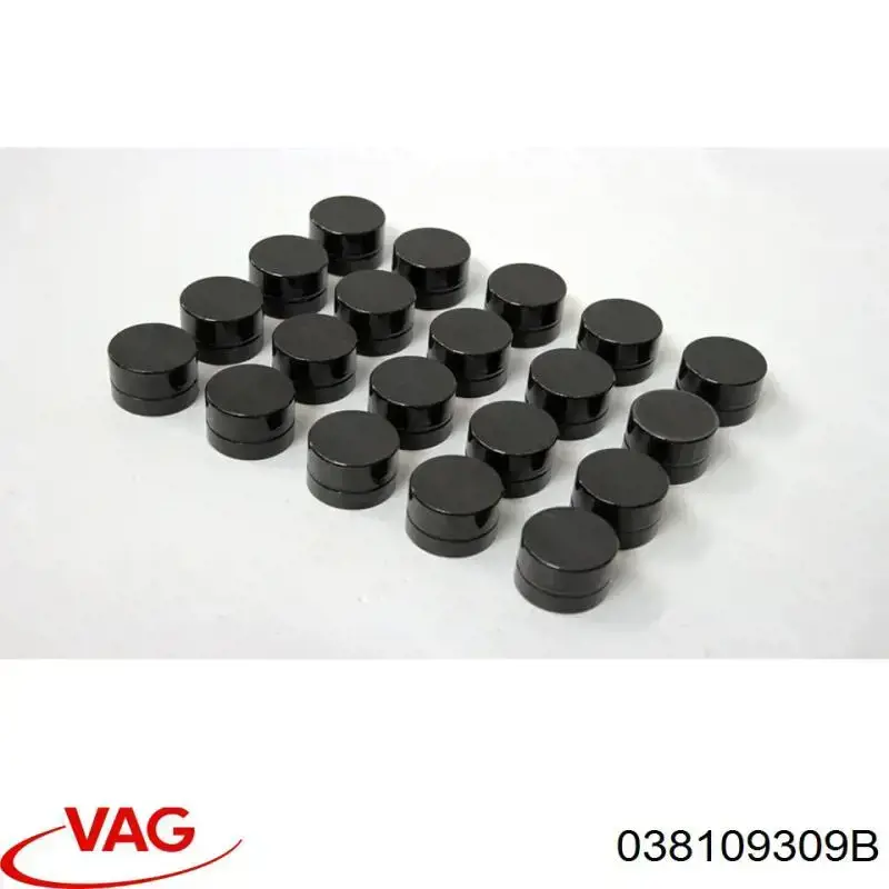 Taqués hidráulicos 038109309B VAG