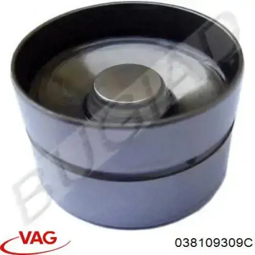 038109309C VAG Taqués de motor