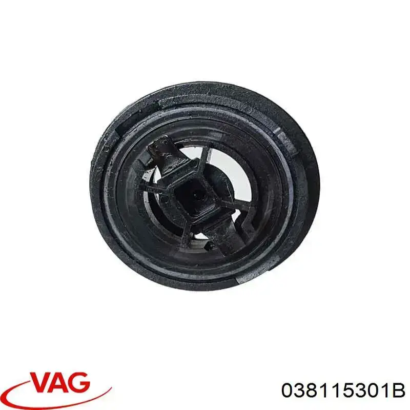 Cuello de llenado de aceite VAG 038115301B precio, desde 12,49 EUR