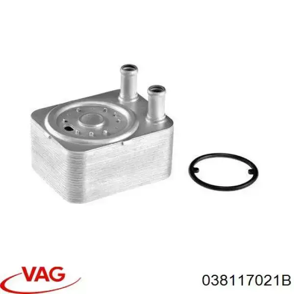 038117021B VAG radiador de aceite, bajo de filtro