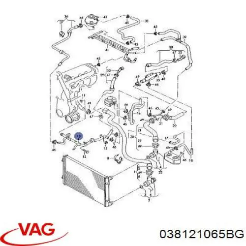 038121065BG VAG tubería de radiador, tuberia flexible calefacción, inferior