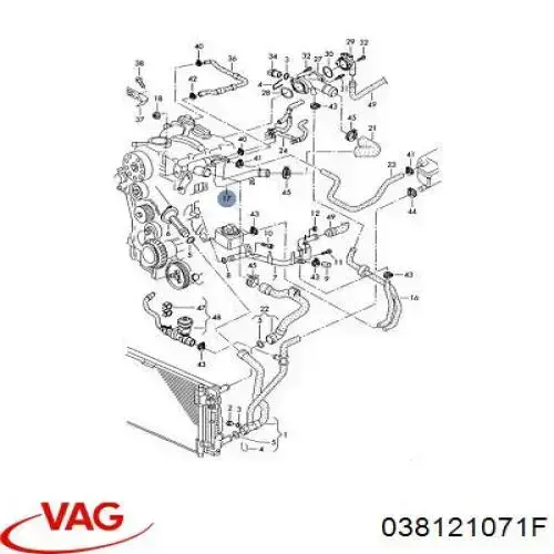 038121071F VAG manguera (conducto del sistema de refrigeración)