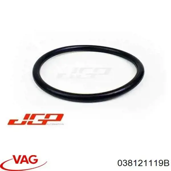 Junta, termostato Volkswagen Passat 3C2