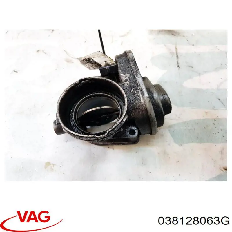 Cuerpo de aceleración completo VAG 038128063G precio, desde 113,26 EUR