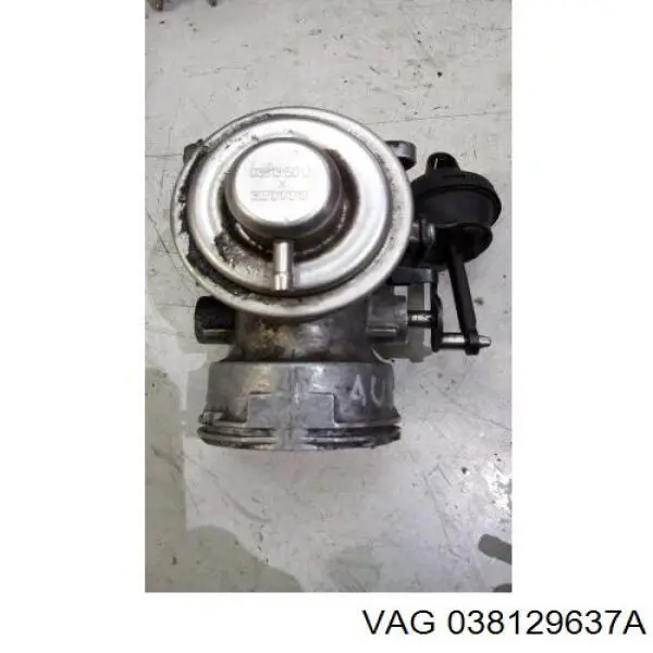 038129637A VAG Junta de válvula EGR