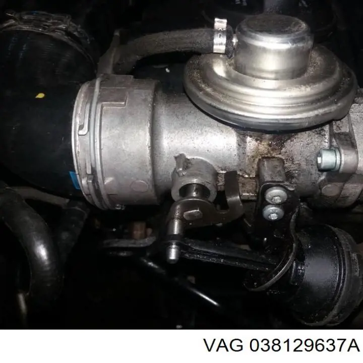 Junta de válvula EGR 038129637A VAG