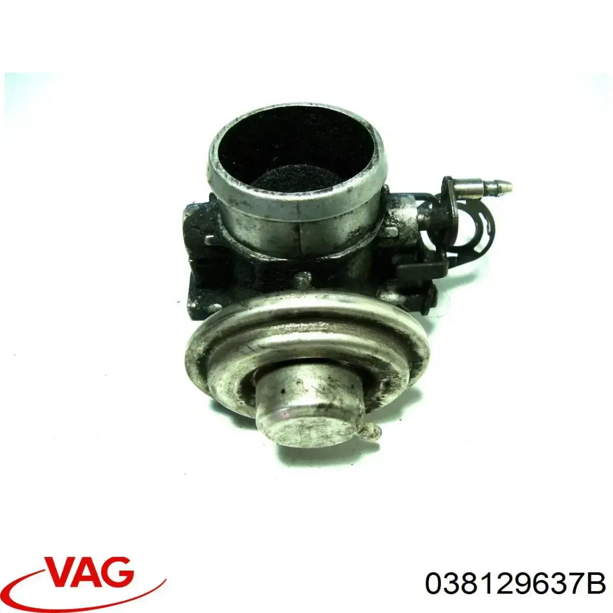 Comprar 038129637B VAG Válvula EGR