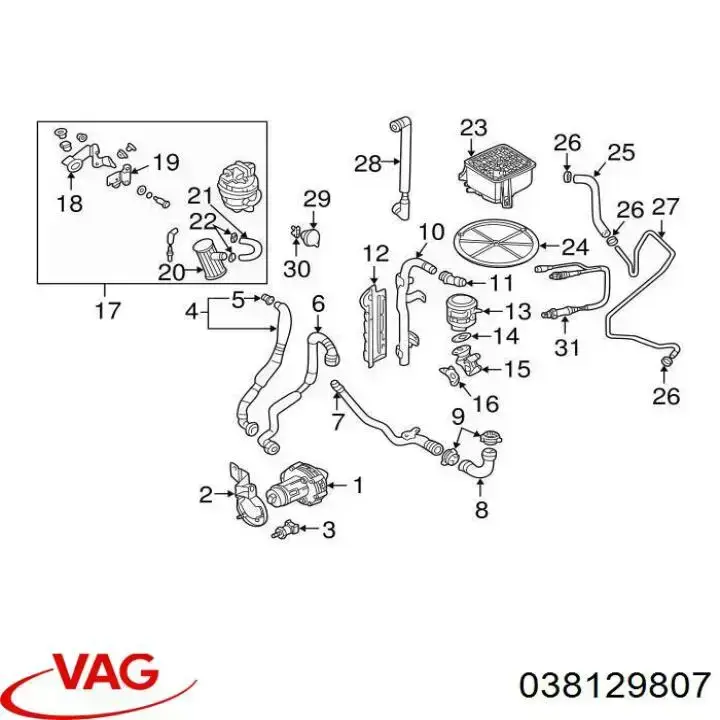 Depósito de vacío del motor 038129807 VAG