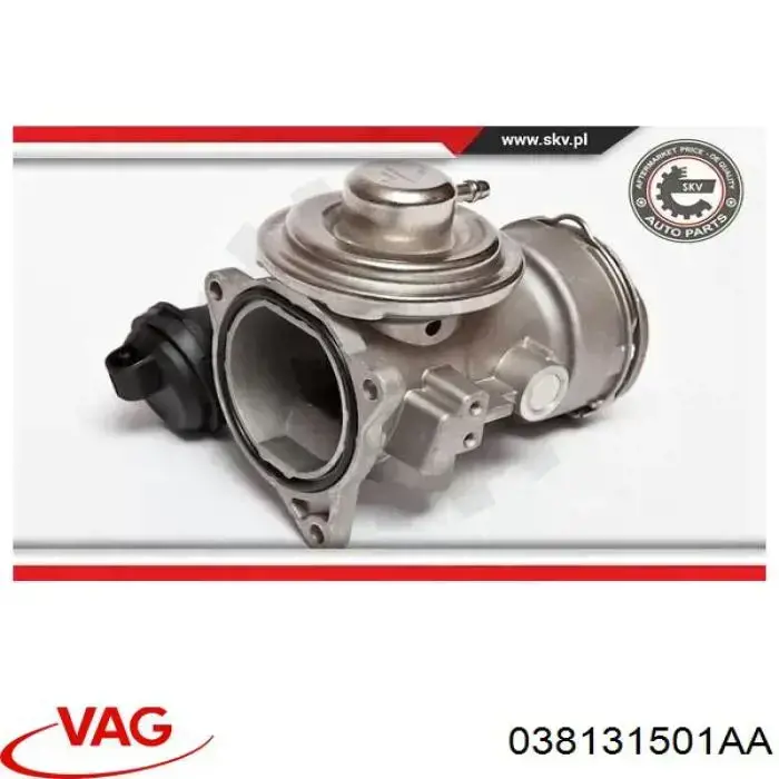 Comprar 038131501AA VAG Válvula EGR