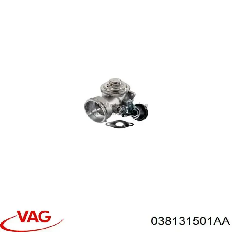 Comprar 038131501AA VAG Válvula EGR