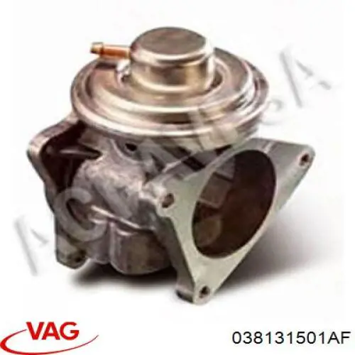 EGR VAG 038131501AF
