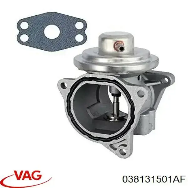 Válvula EGR 038131501AF VAG