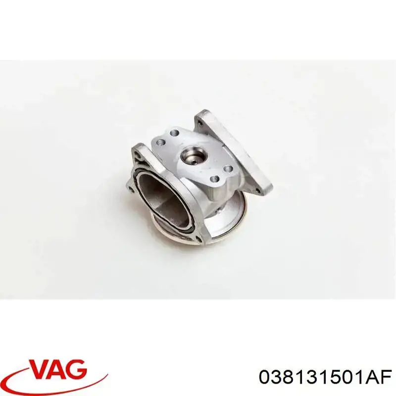 038131501AF VAG Válvula EGR