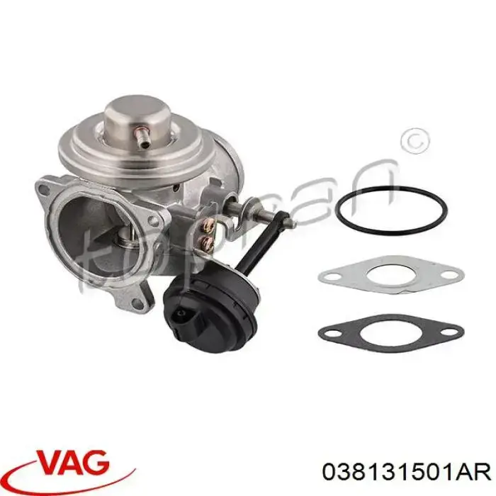 Válvula EGR 038131501AR VAG