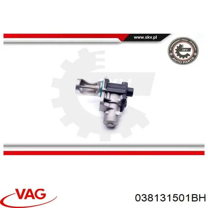 Válvula de regulación de gases VAG 038131501BH precio, desde 107,45 EUR