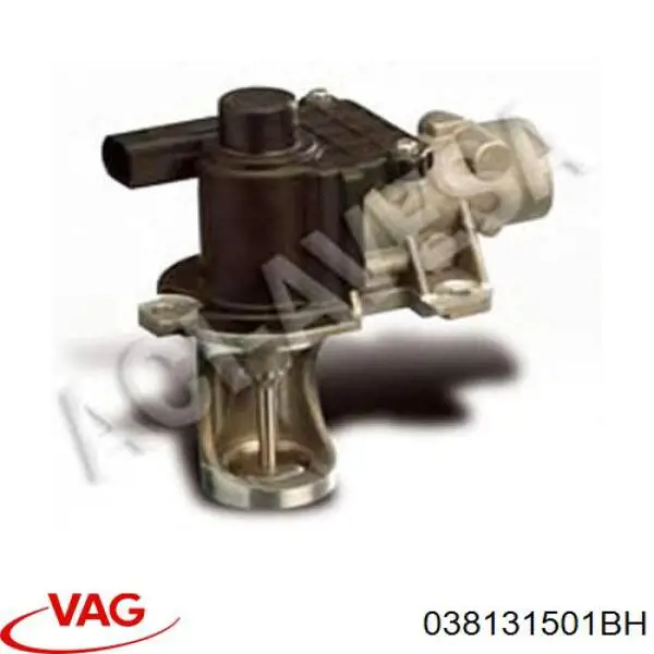 Válvula EGR 038131501BH VAG