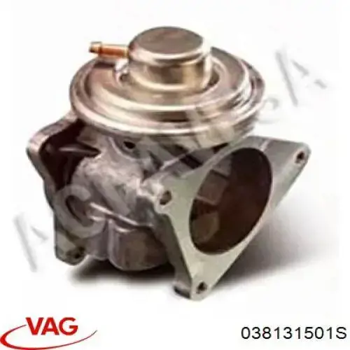 Válvula EGR 038131501S VAG