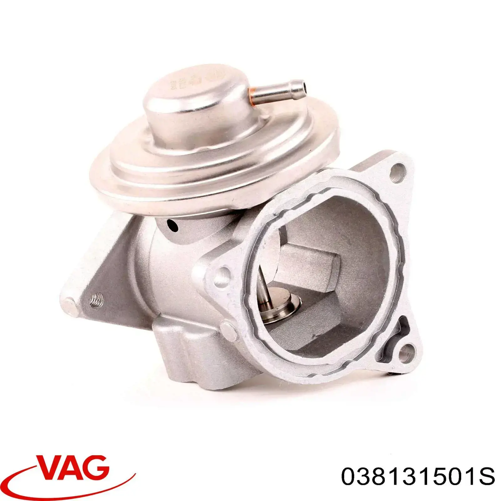 038131501S VAG Válvula EGR