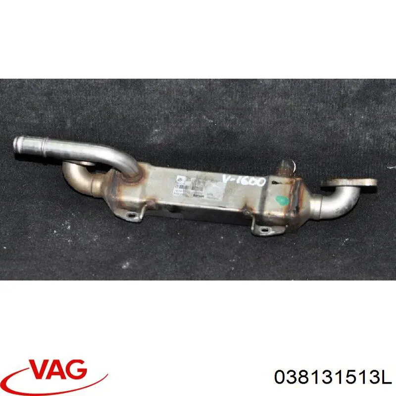 Comprar 038131513L VAG Enfriador de recirculación de gases de escape EGR