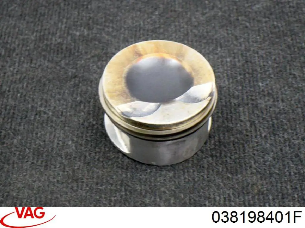 Biela VAG 038198401F precio, desde 74,05 EUR