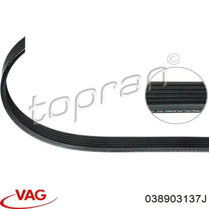 Comprar 038903137J VAG Correa trapezoidal