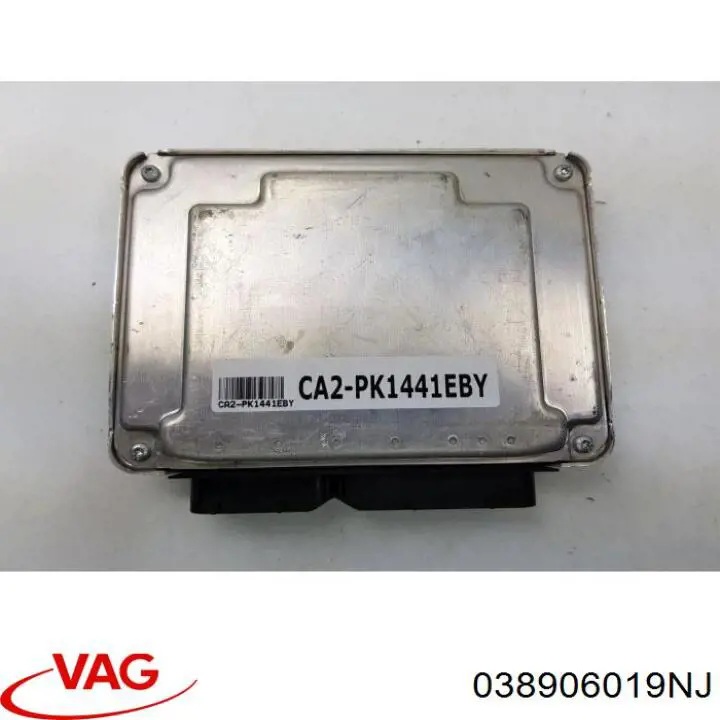 038906019NJ VAG Centralina Del Motor
