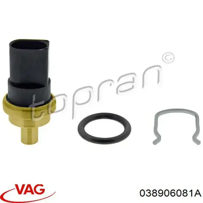 Comprar 038906081A VAG Sensor de temperatura de combustible