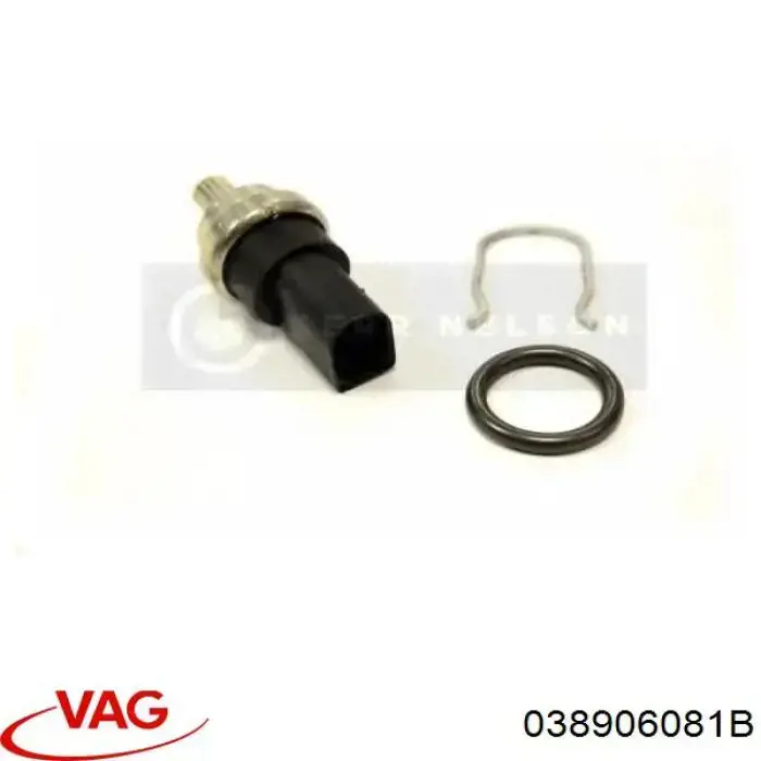 Sensor de temperatura de combustible 038906081B VAG