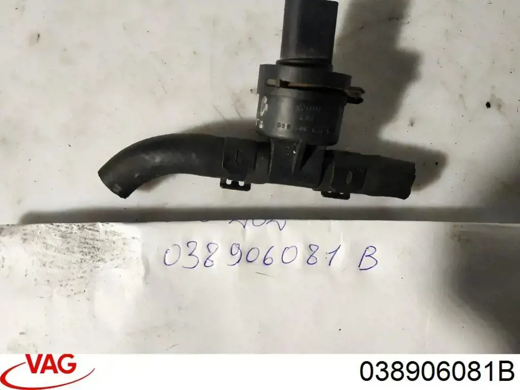 Sensor de temperatura de combustible VAG 038906081B