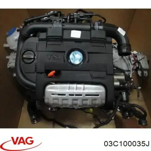 03C100035J VAG motor completo