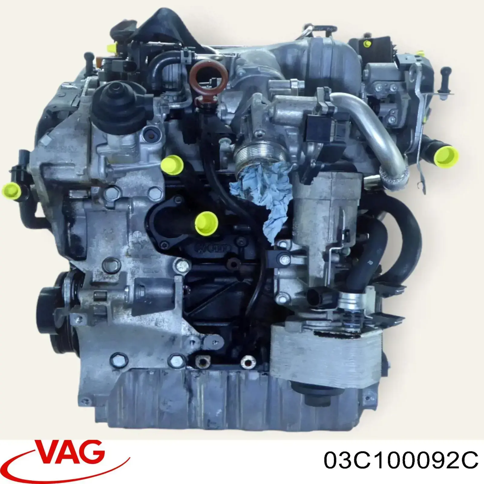 03C100092CX VAG Motor completo