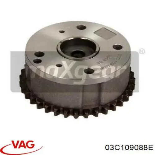 Piñón cadena distribución Volkswagen Tiguan 1 5N1, 5N2