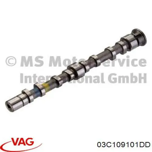 Árbol de levas de escape VAG 03C109101DD precio, desde 125,35 EUR