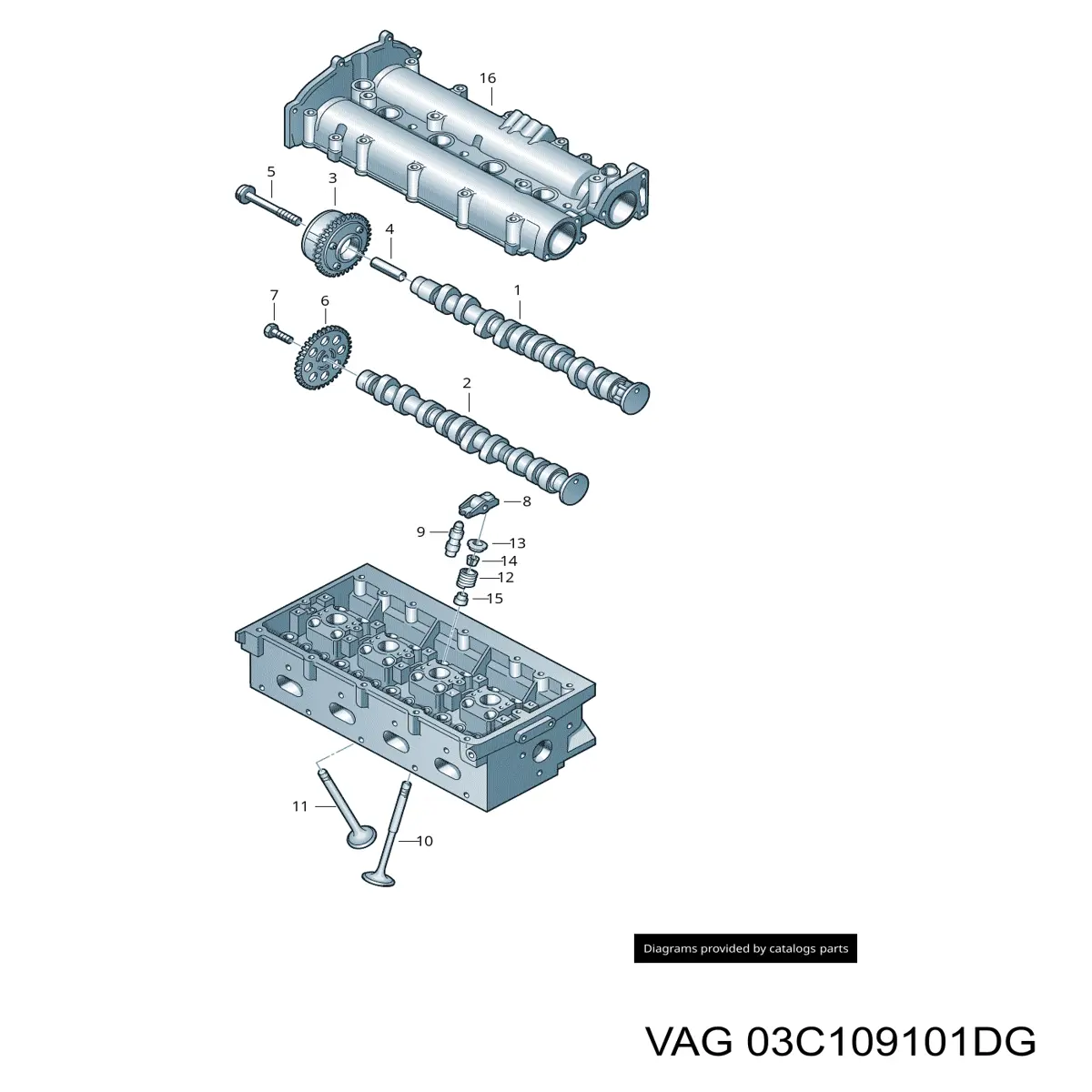 03C109101DG VAG árbol de levas admisión