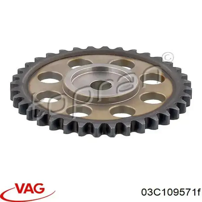 Piñón cadena distribución VAG 03C109571F