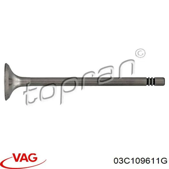 Comprar 03C109611G VAG Válvula escape