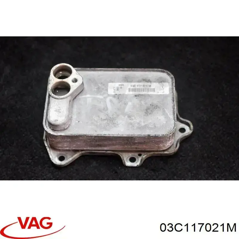 03C117021M VAG Radiador de aceite