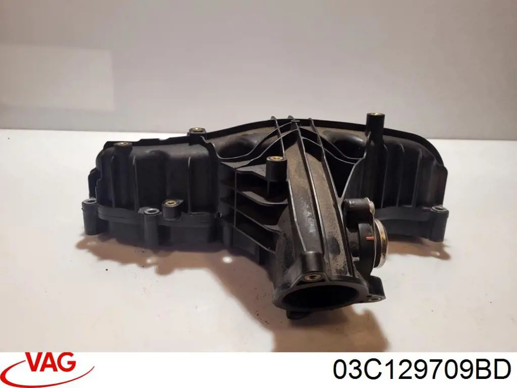 Colector de admisión superior VAG 03C129709BD precio, desde 120,52 EUR