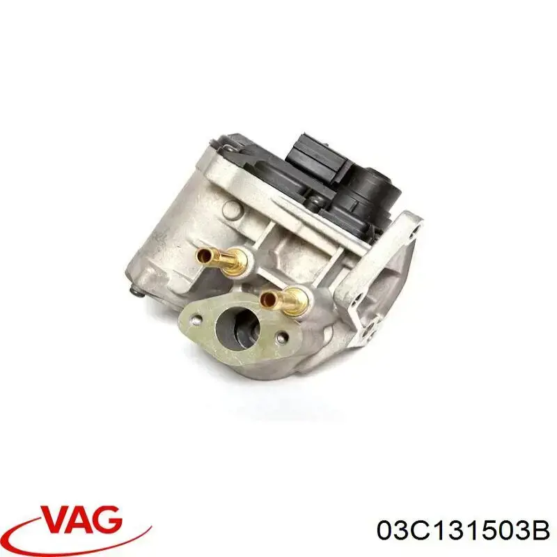03C131503B VAG válvula, agr