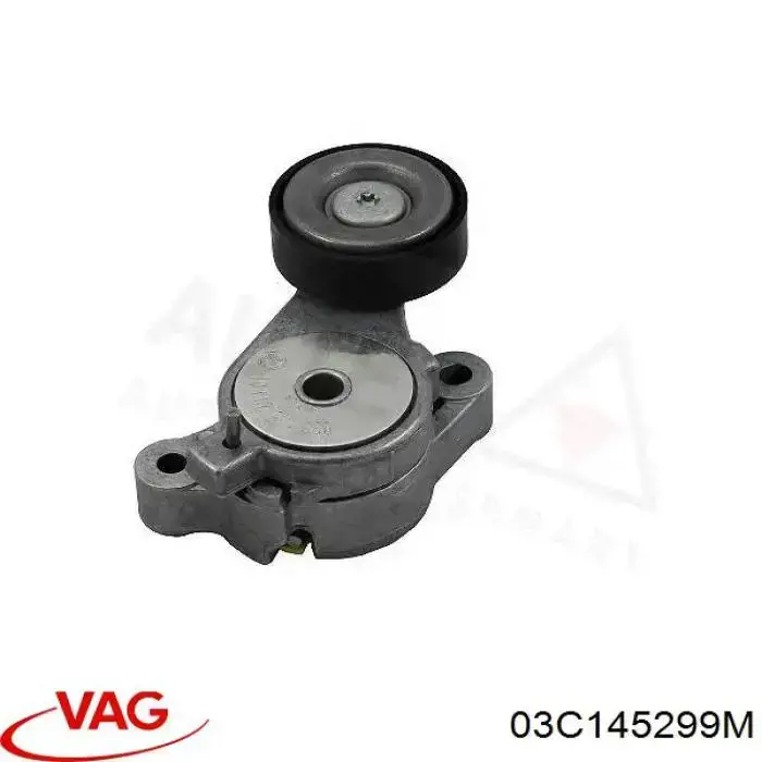 Rodillo, correa trapecial poli V Volkswagen Tiguan 1 5N1, 5N2