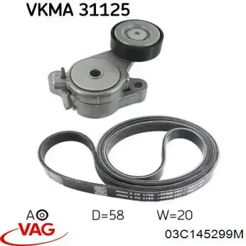 Rodillo, correa trapecial poli V Volkswagen Tiguan 1 5N1, 5N2